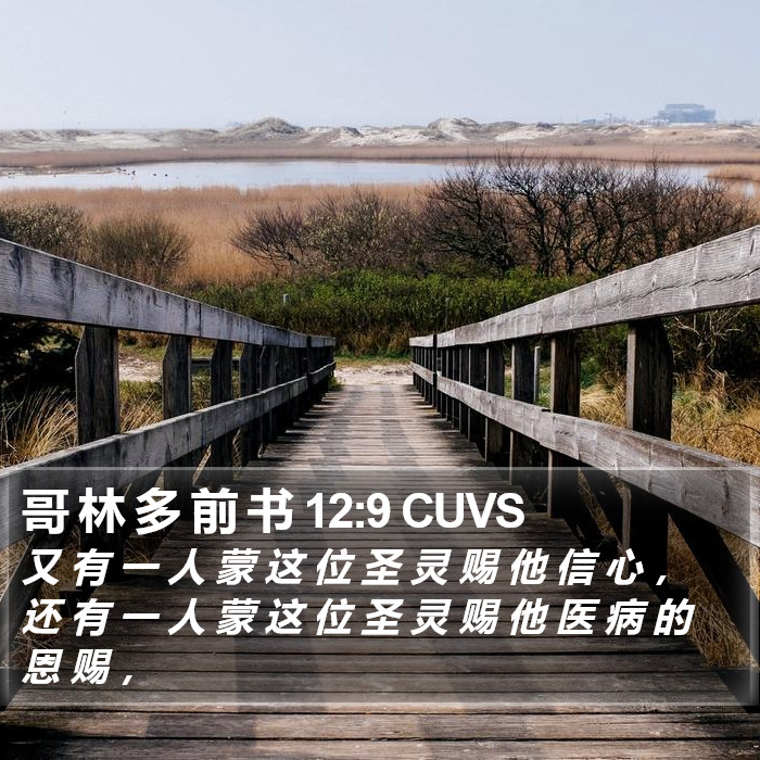 哥 林 多 前 书 12:9 CUVS Bible Study