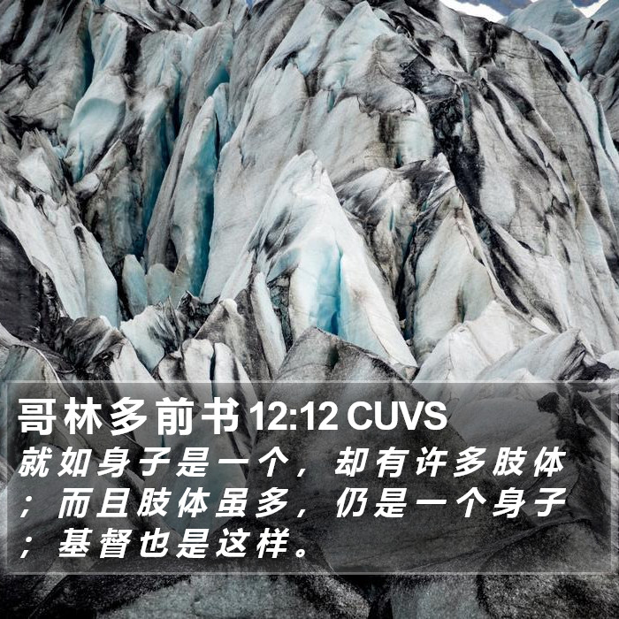 哥 林 多 前 书 12:12 CUVS Bible Study