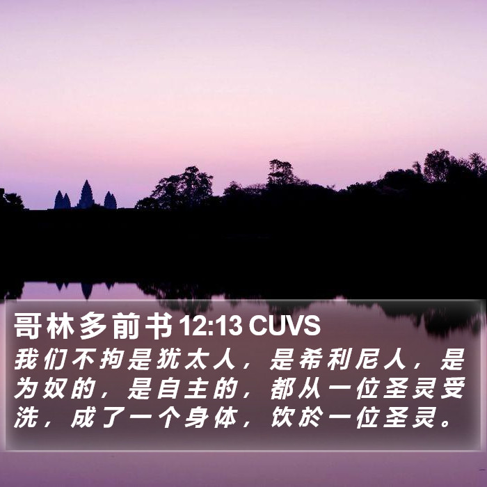 哥 林 多 前 书 12:13 CUVS Bible Study
