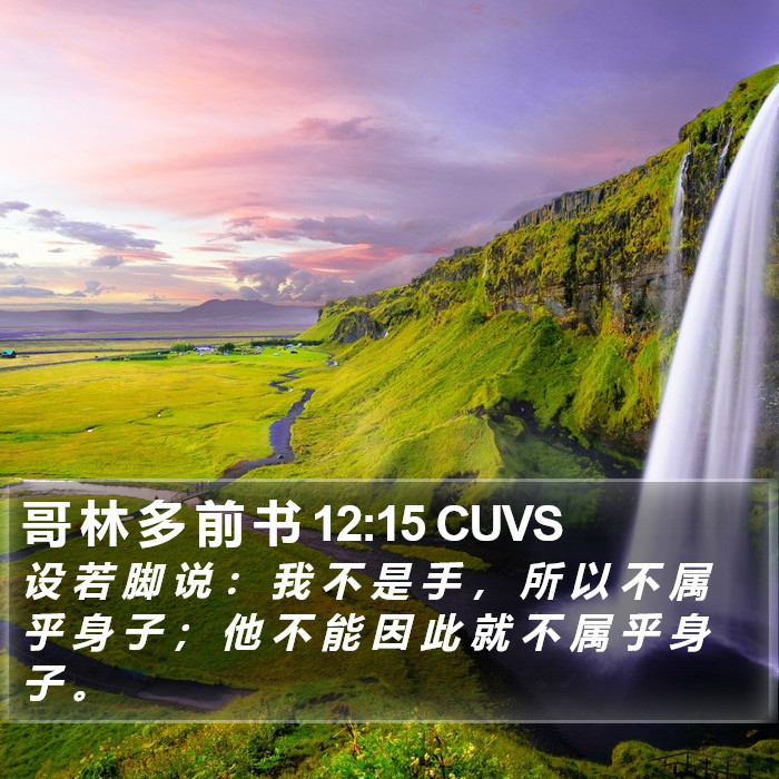 哥 林 多 前 书 12:15 CUVS Bible Study