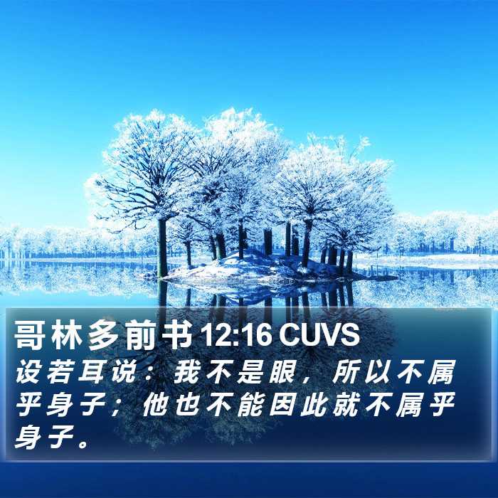 哥 林 多 前 书 12:16 CUVS Bible Study