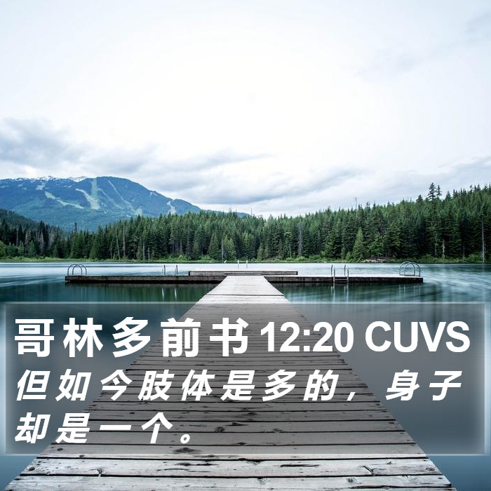 哥 林 多 前 书 12:20 CUVS Bible Study
