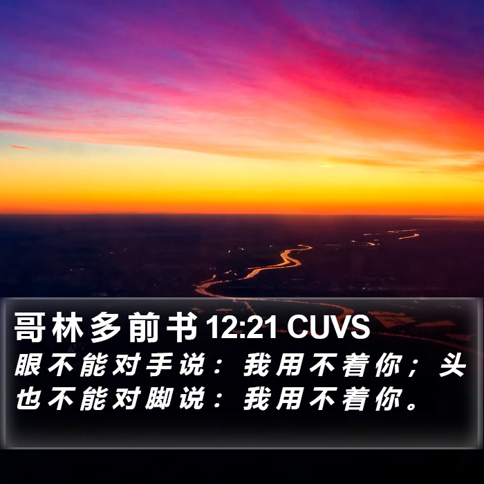 哥 林 多 前 书 12:21 CUVS Bible Study