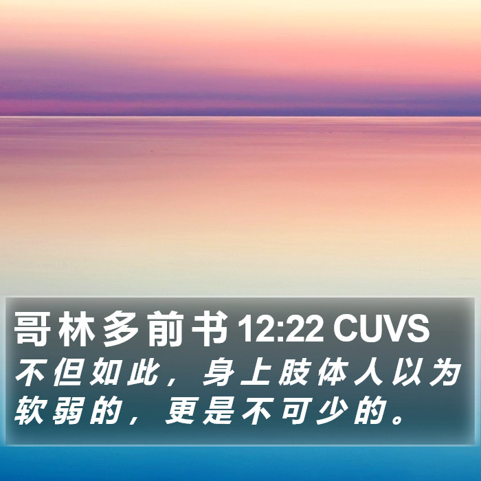哥 林 多 前 书 12:22 CUVS Bible Study