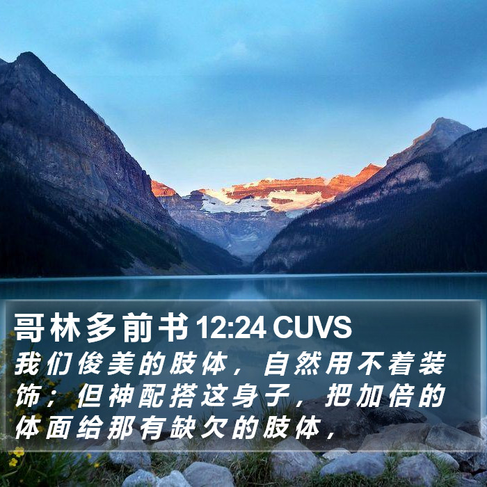 哥 林 多 前 书 12:24 CUVS Bible Study