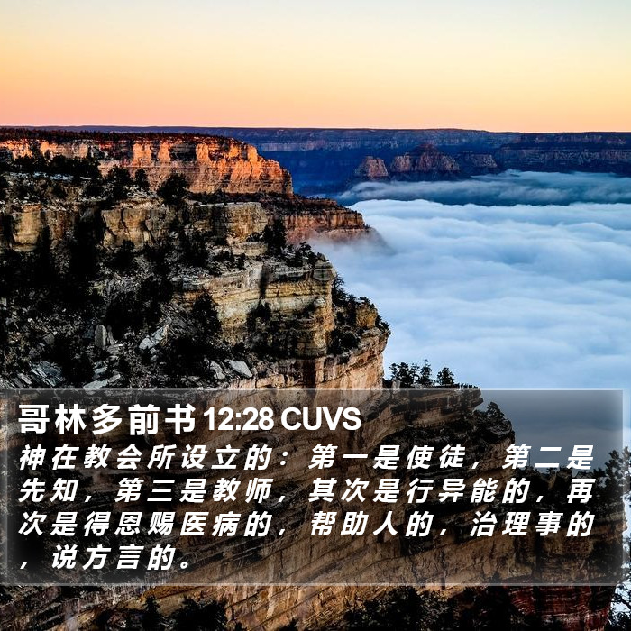 哥 林 多 前 书 12:28 CUVS Bible Study