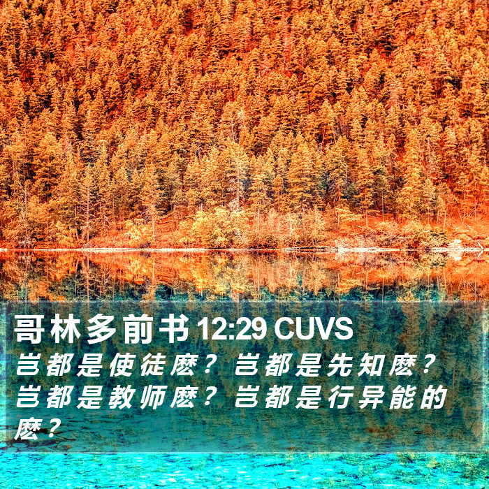 哥 林 多 前 书 12:29 CUVS Bible Study