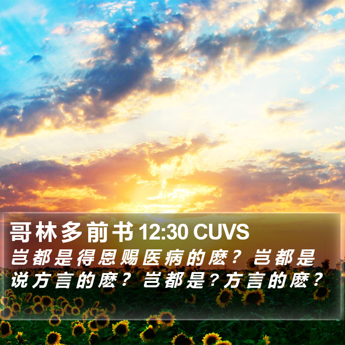 哥 林 多 前 书 12:30 CUVS Bible Study