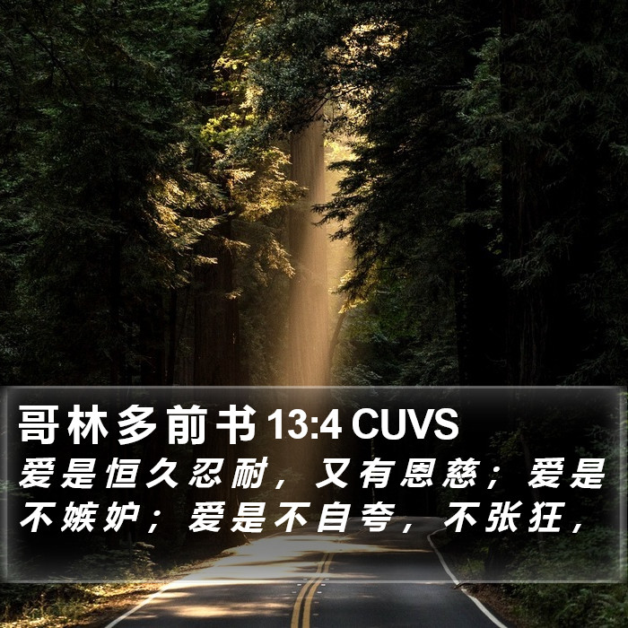 哥 林 多 前 书 13:4 CUVS Bible Study