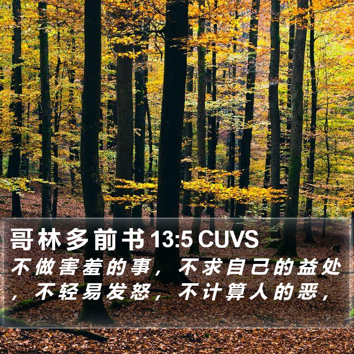 哥 林 多 前 书 13:5 CUVS Bible Study