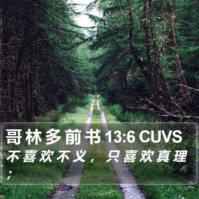 哥 林 多 前 书 13:6 CUVS Bible Study