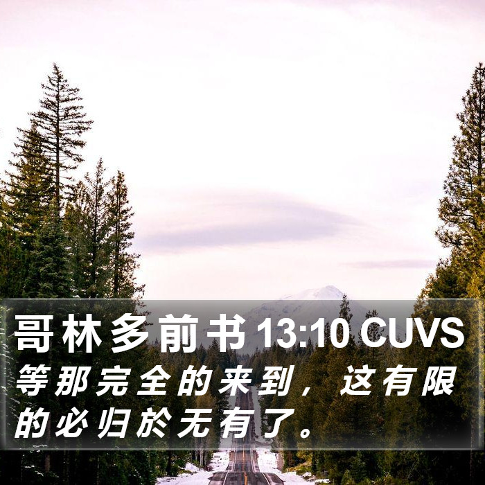 哥 林 多 前 书 13:10 CUVS Bible Study
