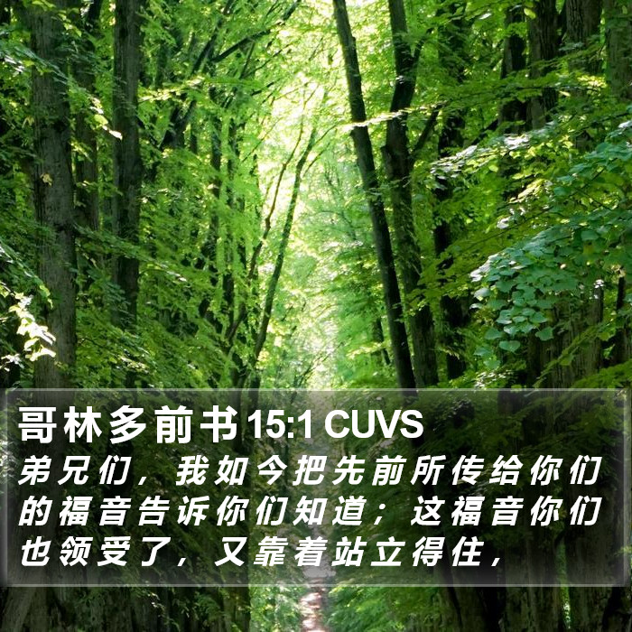 哥 林 多 前 书 15:1 CUVS Bible Study