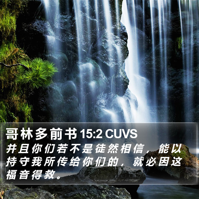 哥 林 多 前 书 15:2 CUVS Bible Study