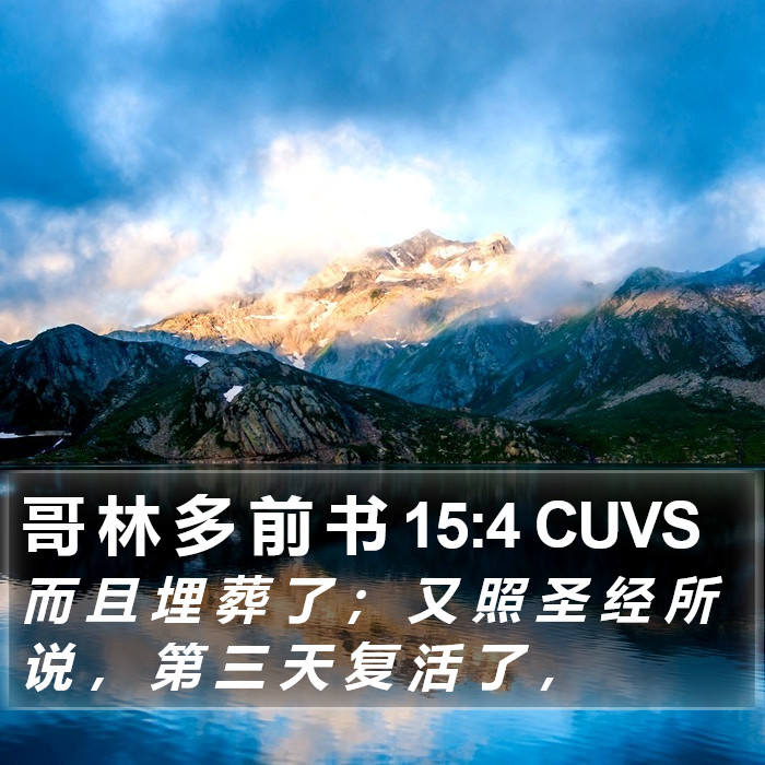 哥 林 多 前 书 15:4 CUVS Bible Study