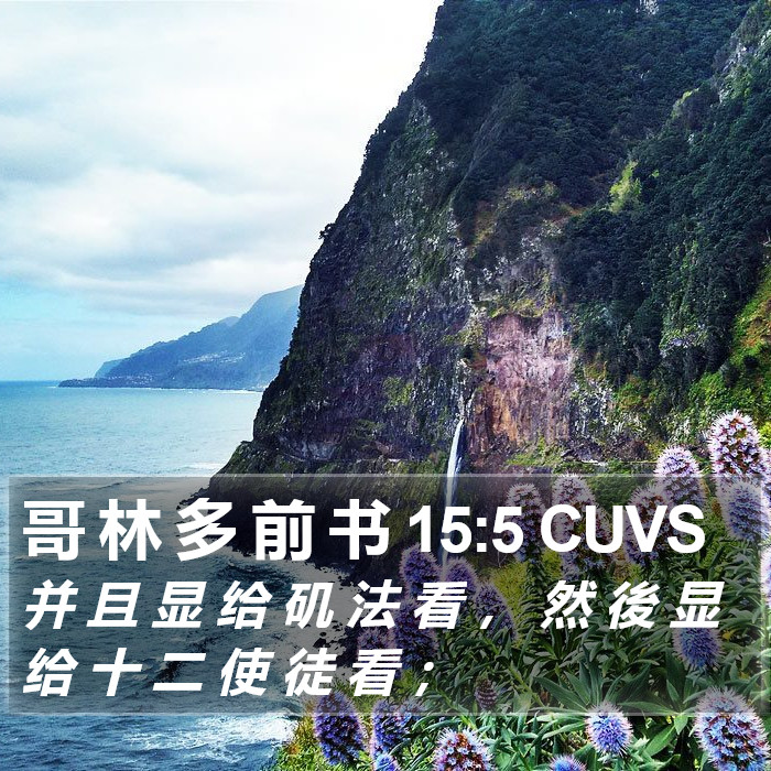 哥 林 多 前 书 15:5 CUVS Bible Study