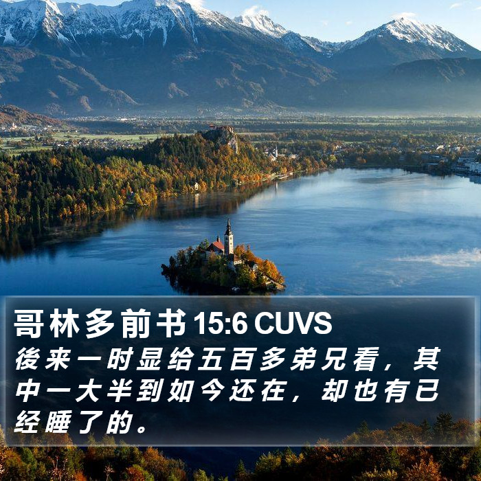 哥 林 多 前 书 15:6 CUVS Bible Study