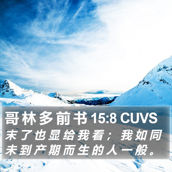 哥 林 多 前 书 15:8 CUVS Bible Study