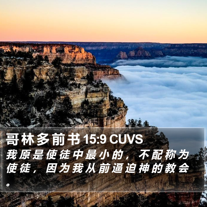 哥 林 多 前 书 15:9 CUVS Bible Study