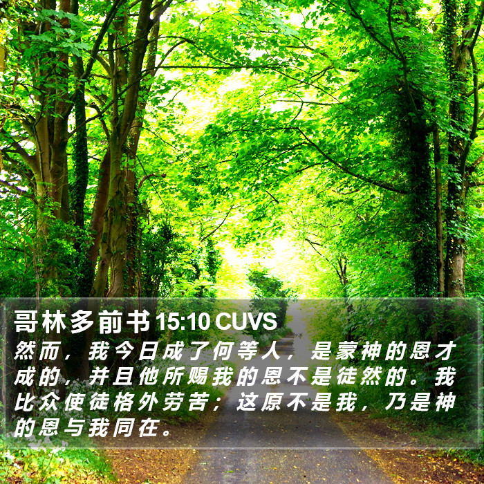 哥 林 多 前 书 15:10 CUVS Bible Study