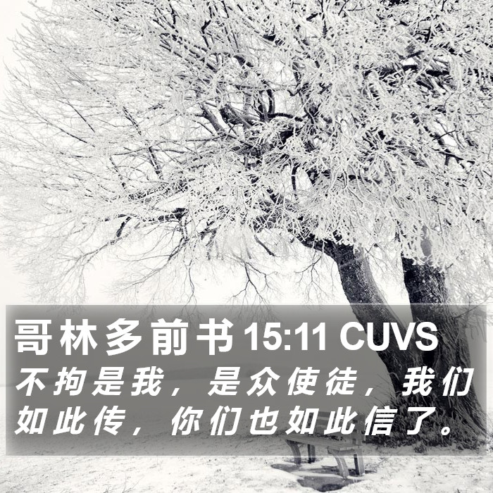 哥 林 多 前 书 15:11 CUVS Bible Study