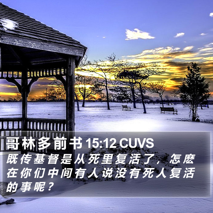 哥 林 多 前 书 15:12 CUVS Bible Study