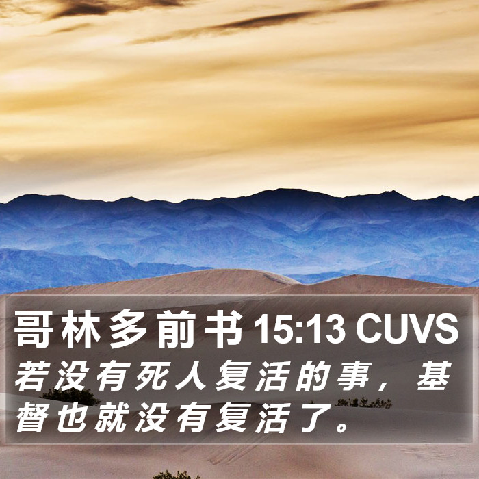 哥 林 多 前 书 15:13 CUVS Bible Study