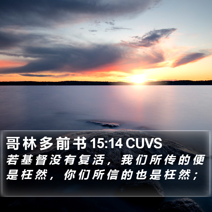 哥 林 多 前 书 15:14 CUVS Bible Study