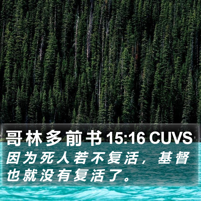 哥 林 多 前 书 15:16 CUVS Bible Study