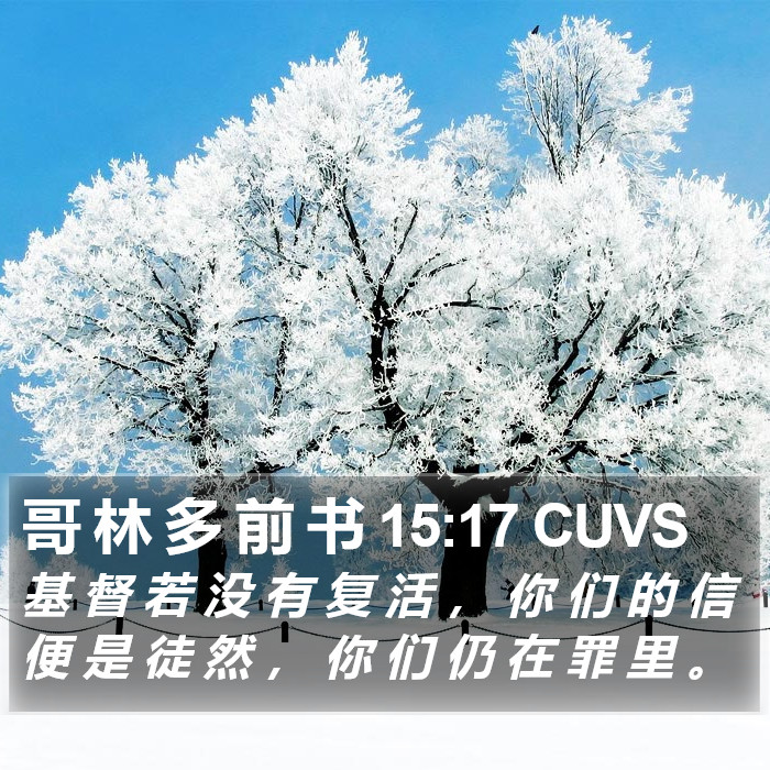 哥 林 多 前 书 15:17 CUVS Bible Study