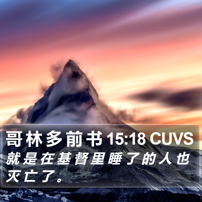 哥 林 多 前 书 15:18 CUVS Bible Study