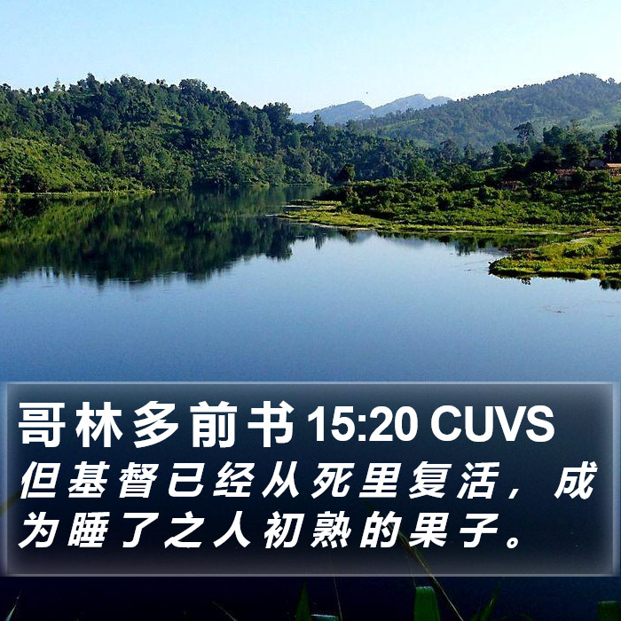 哥 林 多 前 书 15:20 CUVS Bible Study