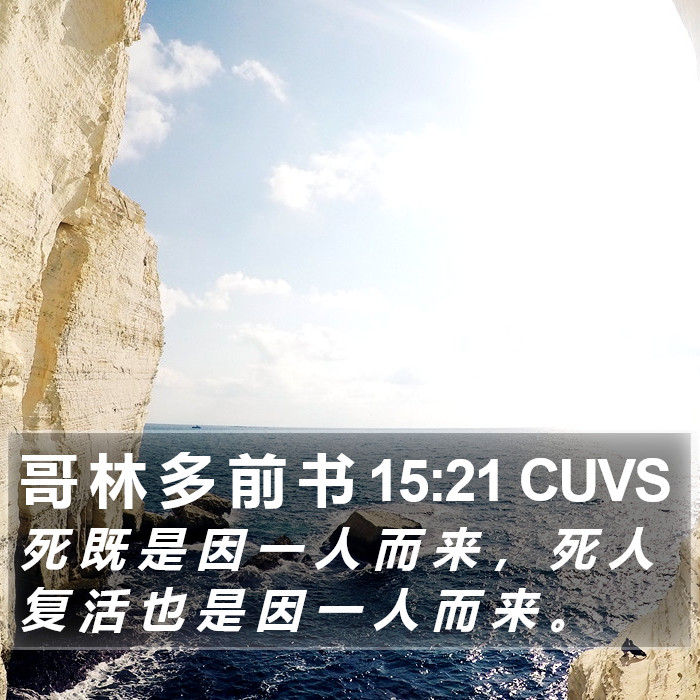 哥 林 多 前 书 15:21 CUVS Bible Study