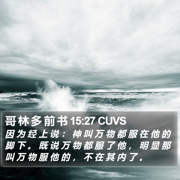 哥 林 多 前 书 15:27 CUVS Bible Study