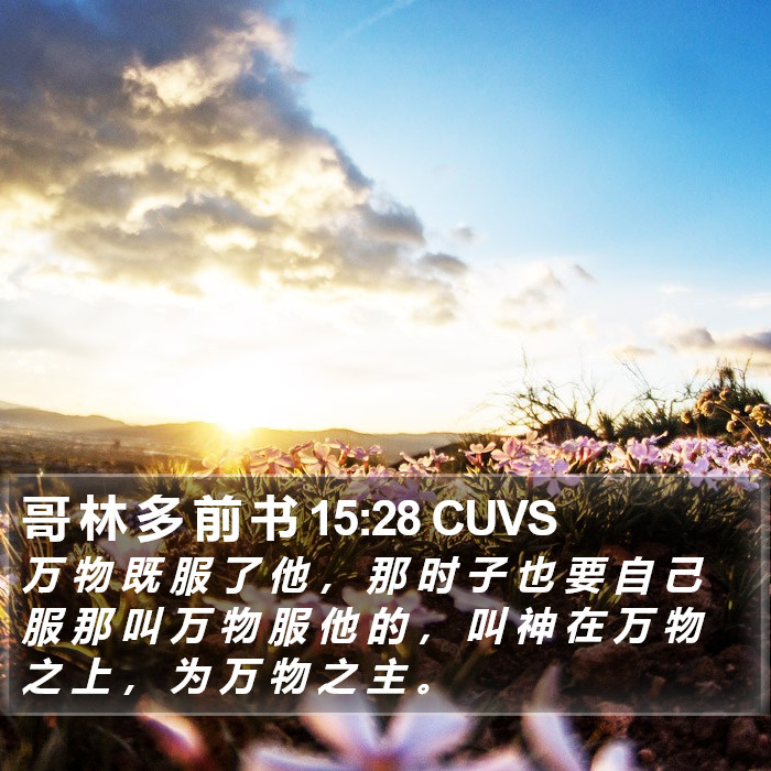 哥 林 多 前 书 15:28 CUVS Bible Study