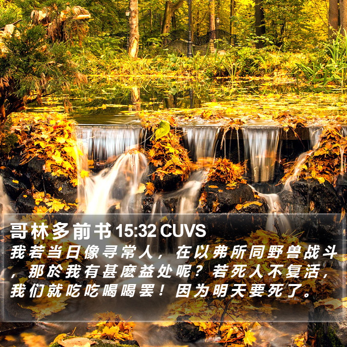 哥 林 多 前 书 15:32 CUVS Bible Study