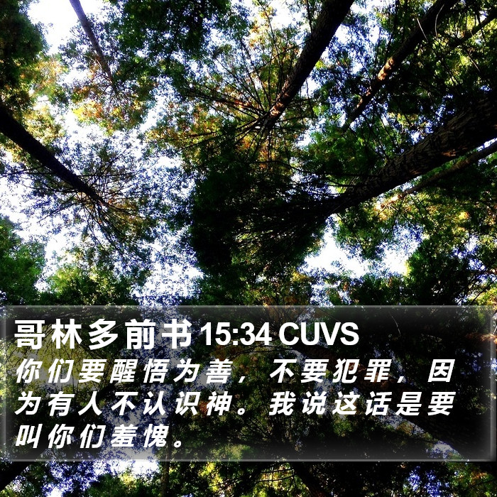 哥 林 多 前 书 15:34 CUVS Bible Study