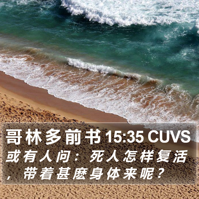 哥 林 多 前 书 15:35 CUVS Bible Study