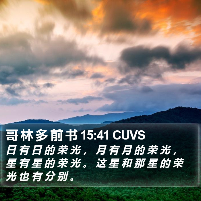 哥 林 多 前 书 15:41 CUVS Bible Study