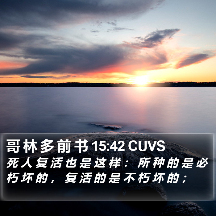 哥 林 多 前 书 15:42 CUVS Bible Study