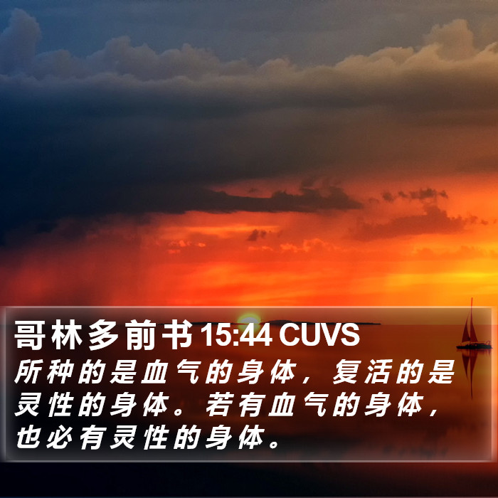 哥 林 多 前 书 15:44 CUVS Bible Study