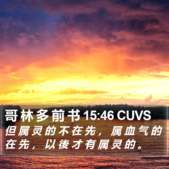 哥 林 多 前 书 15:46 CUVS Bible Study