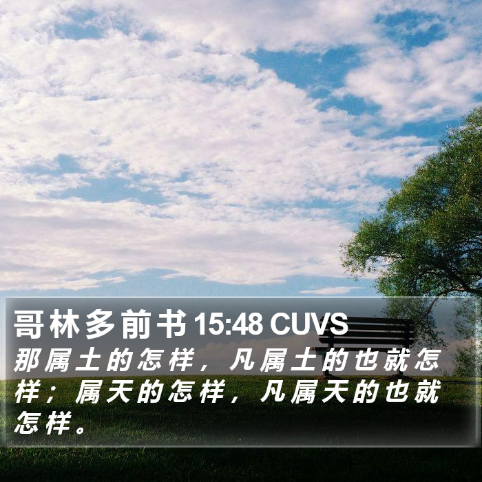 哥 林 多 前 书 15:48 CUVS Bible Study