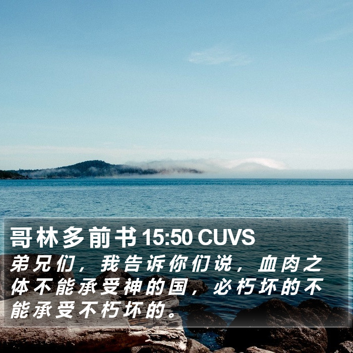 哥 林 多 前 书 15:50 CUVS Bible Study