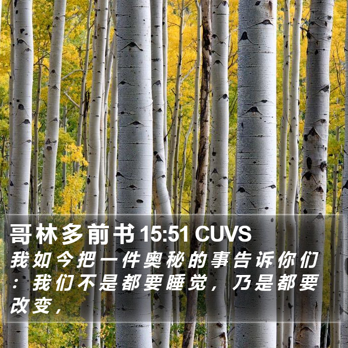 哥 林 多 前 书 15:51 CUVS Bible Study