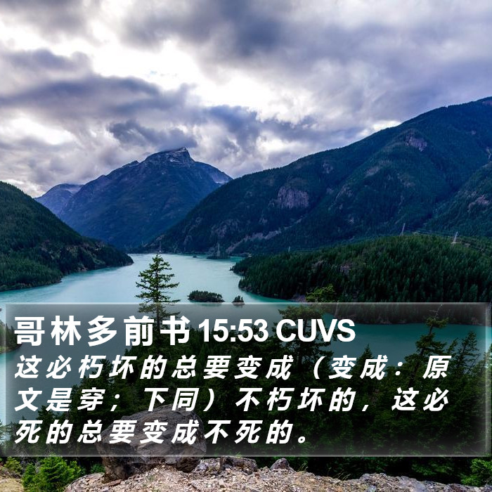 哥 林 多 前 书 15:53 CUVS Bible Study