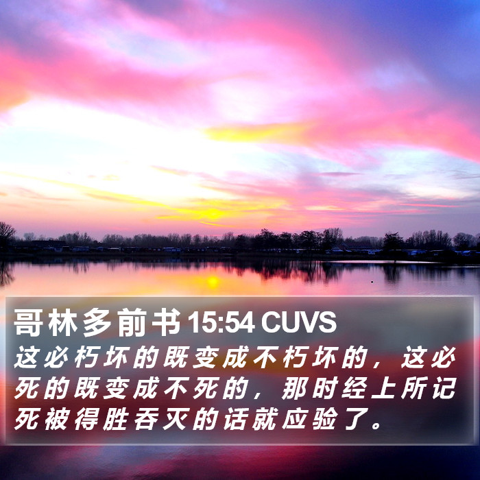 哥 林 多 前 书 15:54 CUVS Bible Study