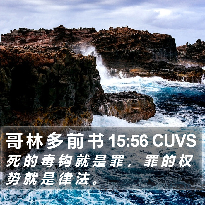 哥 林 多 前 书 15:56 CUVS Bible Study