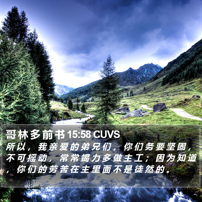 哥 林 多 前 书 15:58 CUVS Bible Study