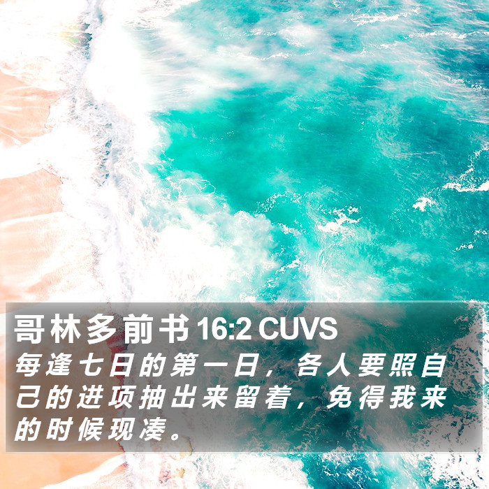 哥 林 多 前 书 16:2 CUVS Bible Study